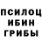 Псилоцибиновые грибы Psilocybine cubensis Nur Sodik