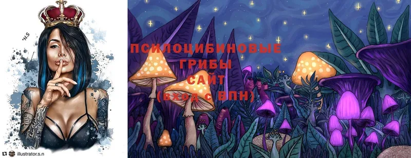 MEGA ссылка  Касимов  Псилоцибиновые грибы MAGIC MUSHROOMS  хочу наркоту 