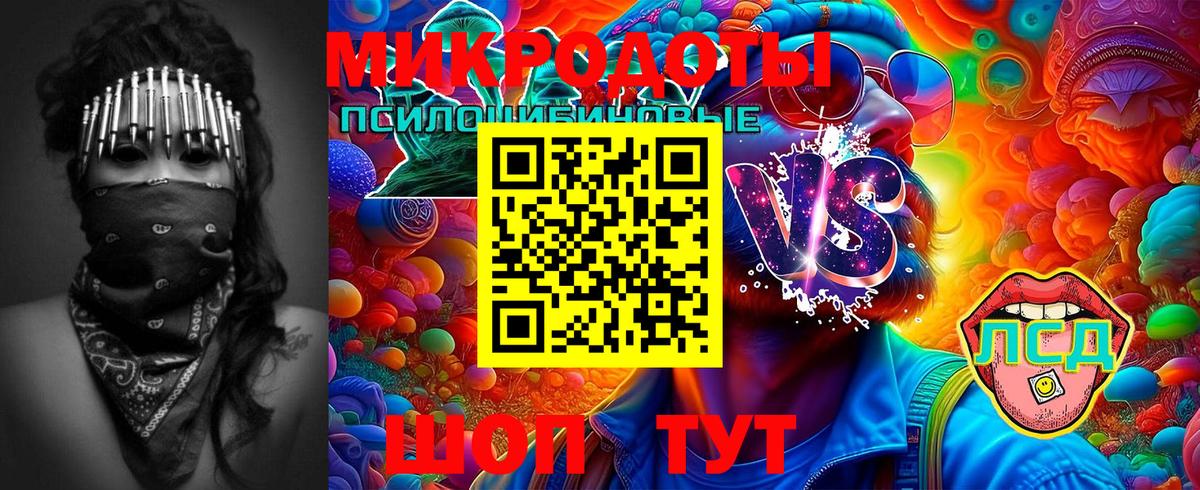 Галлюциногенные грибы мухоморы  Вход с VPN  что такое   Касимов  Псилоцибиновые грибы мухоморы 