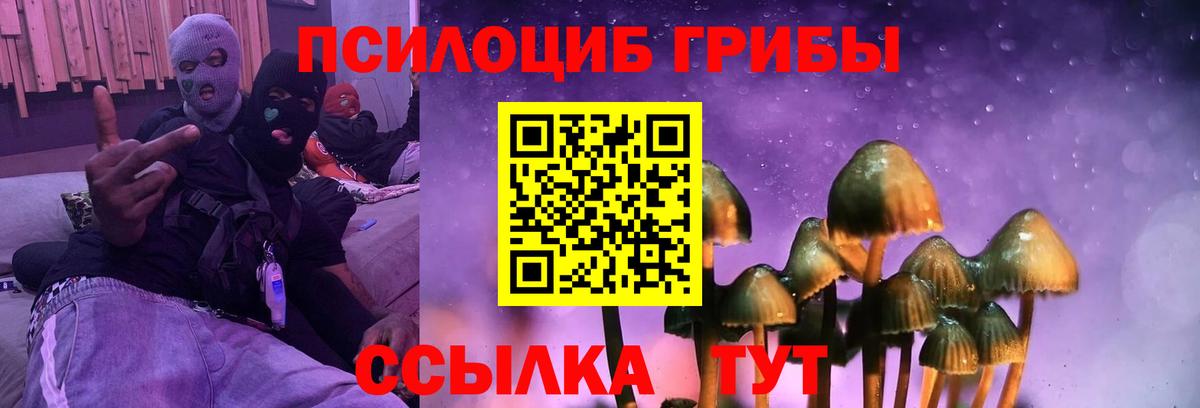 Псилоцибиновые грибы прущие грибы Касимов